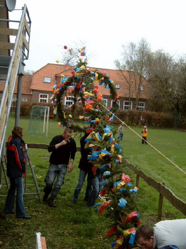 maibaum_2006_(14).jpg