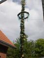 maibaum_(76).jpg