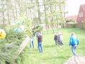 maibaum_2010_(33).jpg