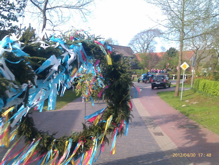 maibaum2012_(19).jpg