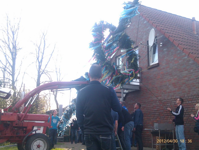 maibaum2012_(37).jpg