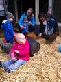 img_5178.jpg