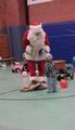 img_7877.jpg