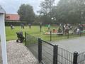 img_9242.jpg